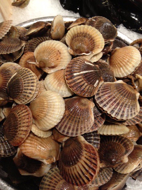 We're crazy about Peconic Scallops! lobsterplace.com/blogs/market/p…