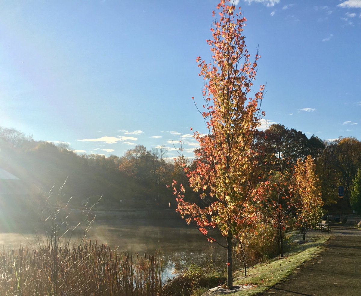 Laurie7McMillan's tweet photo. Good morning @PaceUniversity #plv #choatepond #before8am https://t.co/dJozaptIJj