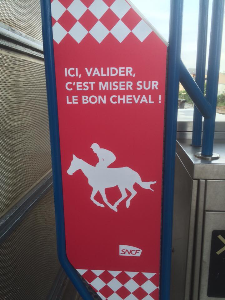 France Galop tweet media