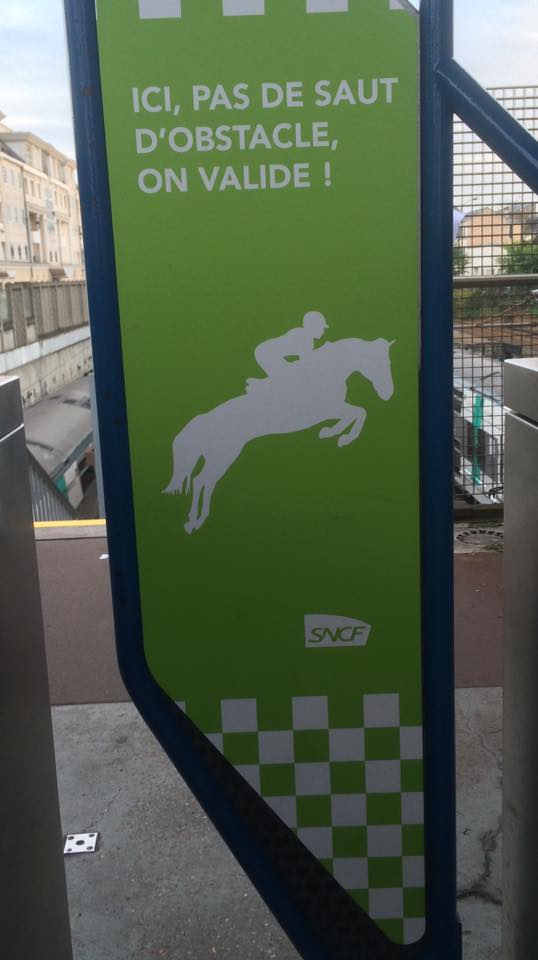 France Galop tweet media
