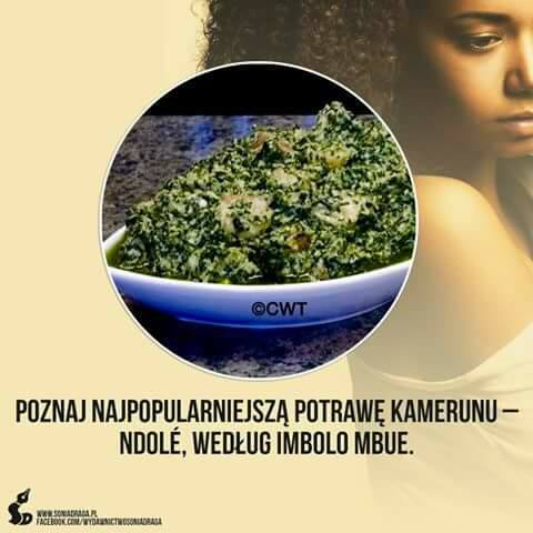 CWTCuisine's tweet photo. During the 2016 pre-release campaign for “My, marzyciele", the Polish version of Imbolo Mbue's novel, "Behold the Dreamers," my pictures were used to showcase African meals in the book. Glad to have been part of this @Oprah Book Club pick's journey to success! #Cameroon #Team237 https://t.co/4DoTlO6g0z