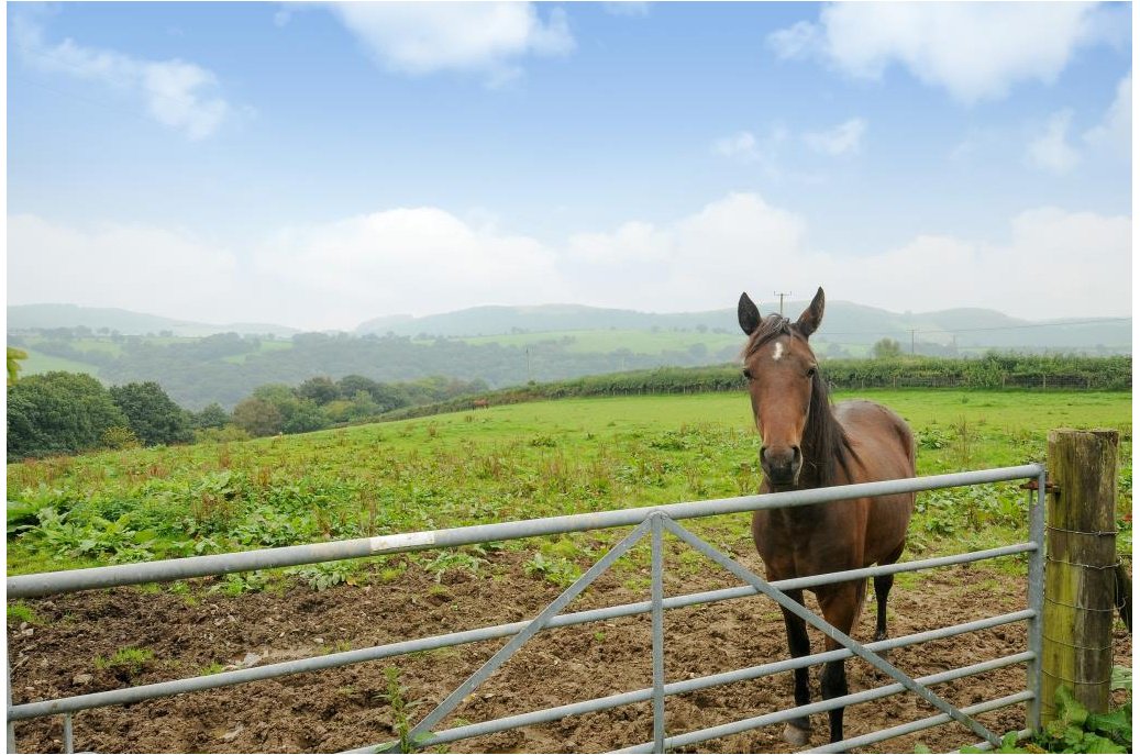 RBBProperty's tweet photo. Enjoy the great outdoors with this spectacular #home that sits on 5 acres of land! #Powys https://t.co/MF9i0VBRpJ https://t.co/u2eUd6mEdu