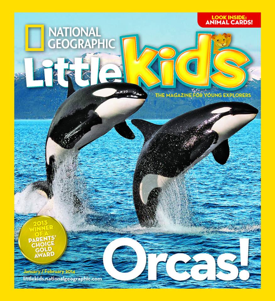 WordWorksBkShop's tweet image. Wait! Take a deep breath and dive with us into the depths of the sea… Let's explore!