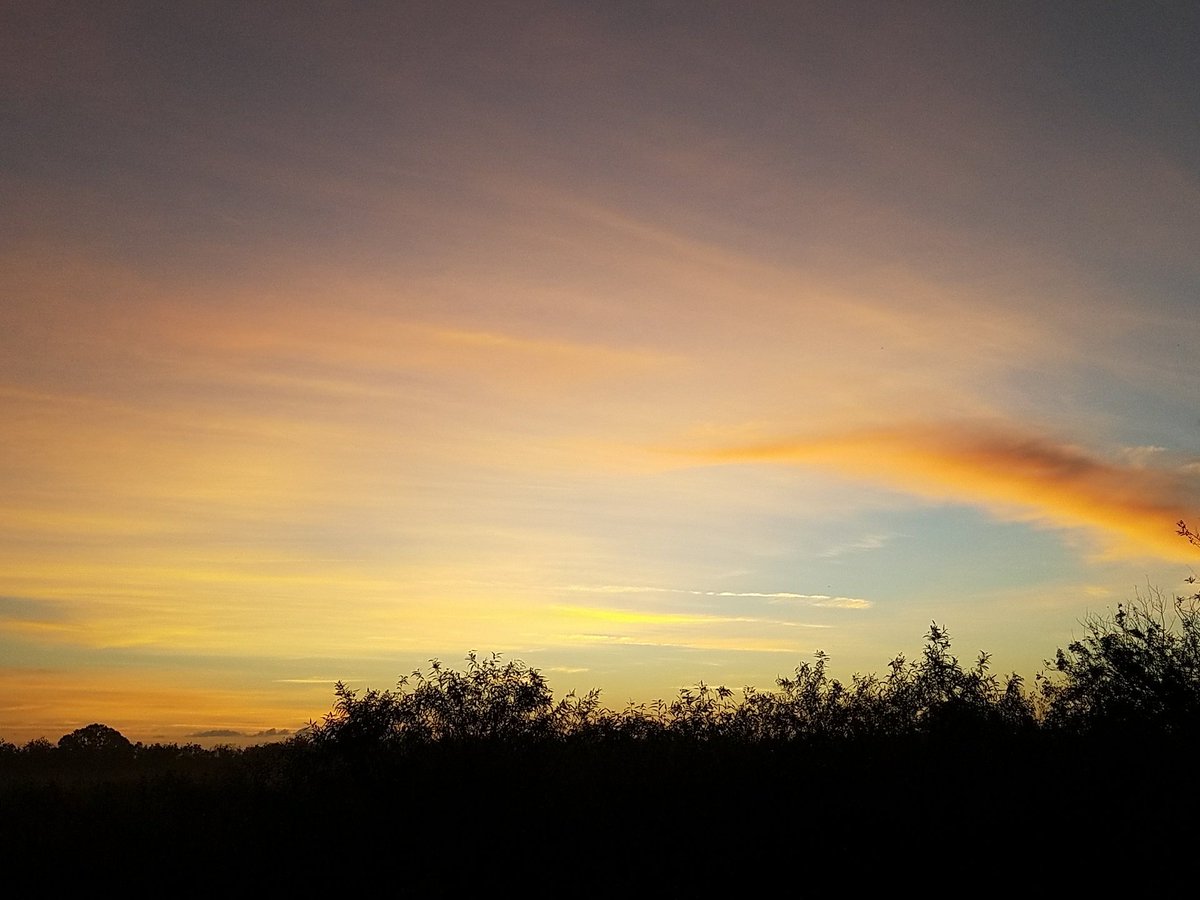 GodsTreeHouse's tweet photo. God is glorious #God https://t.co/EuMY6POU71