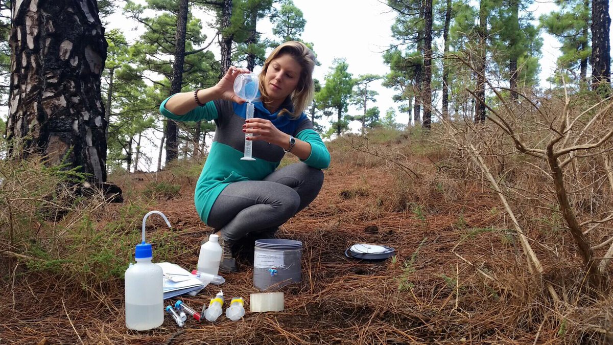 GeoTenerife's tweet photo. Our @GeoIntern @JacksonGeol collects + and processes alkaline trap samples in La Palma with @fiona_volcan of @involcan as part of intense monitoring survey of Cumbre Vieja https://t.co/L4VLmDCeNP