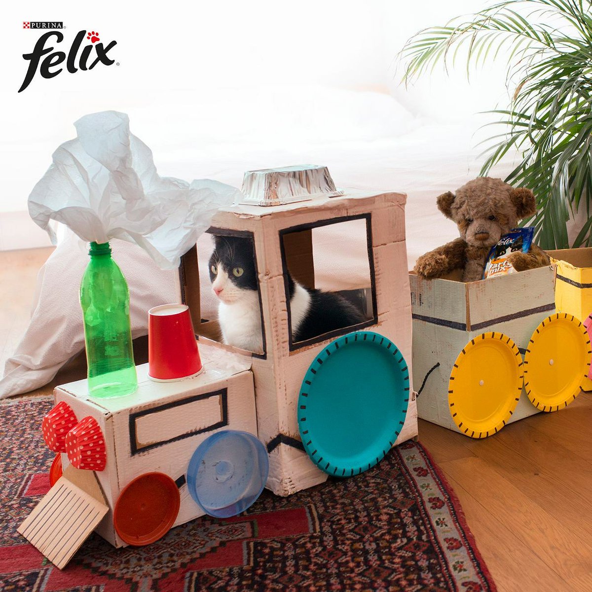 ModelsDirectBiz's tweet image. How fantastic was Our star pet "Bocat" for Felix.  
#petmodelling #felix #starpet #modelsdirect