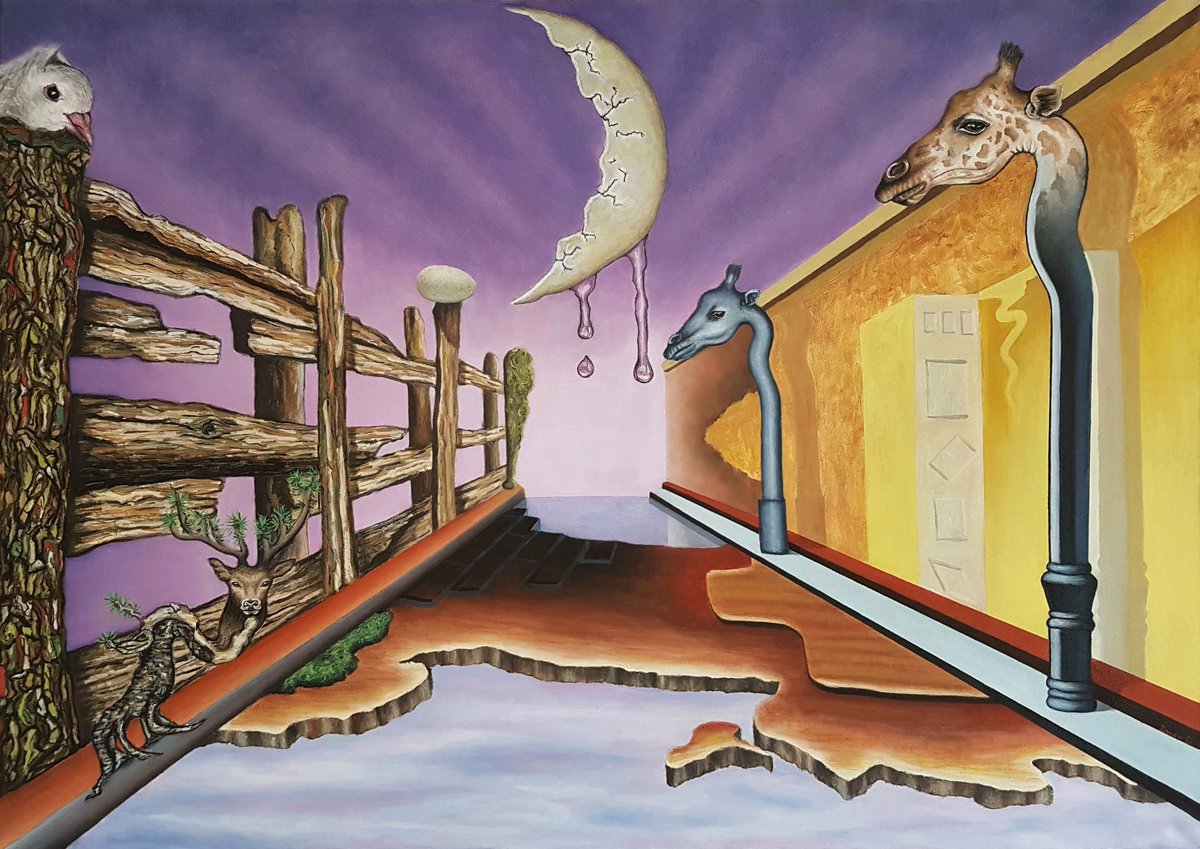 Imer Gashi tweet media