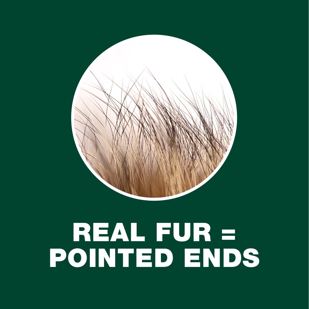 Lush Inverness (@lushinverness) on Twitter photo 