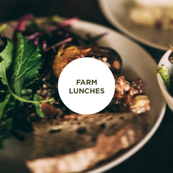 trillonthehill's tweet photo. Join us for weekly lunches to enjoy @ChrispOnions delicious menus in the Old Dairy Kitchen https://t.co/4ydAZHCRoX #LunchTime #DevonFoodHour https://t.co/1fVt4oNIxW