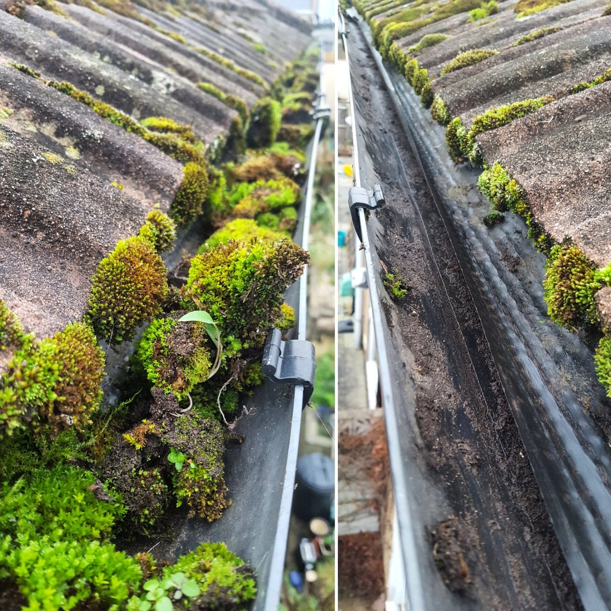target_clean's tweet photo. A gutter clearing job we have carried out this week as the customer has been experiencing damp. As it was on the left, full of moss and on the right after clearance #gutterclearing #guttercleaning https://t.co/oR3uBZgFtH