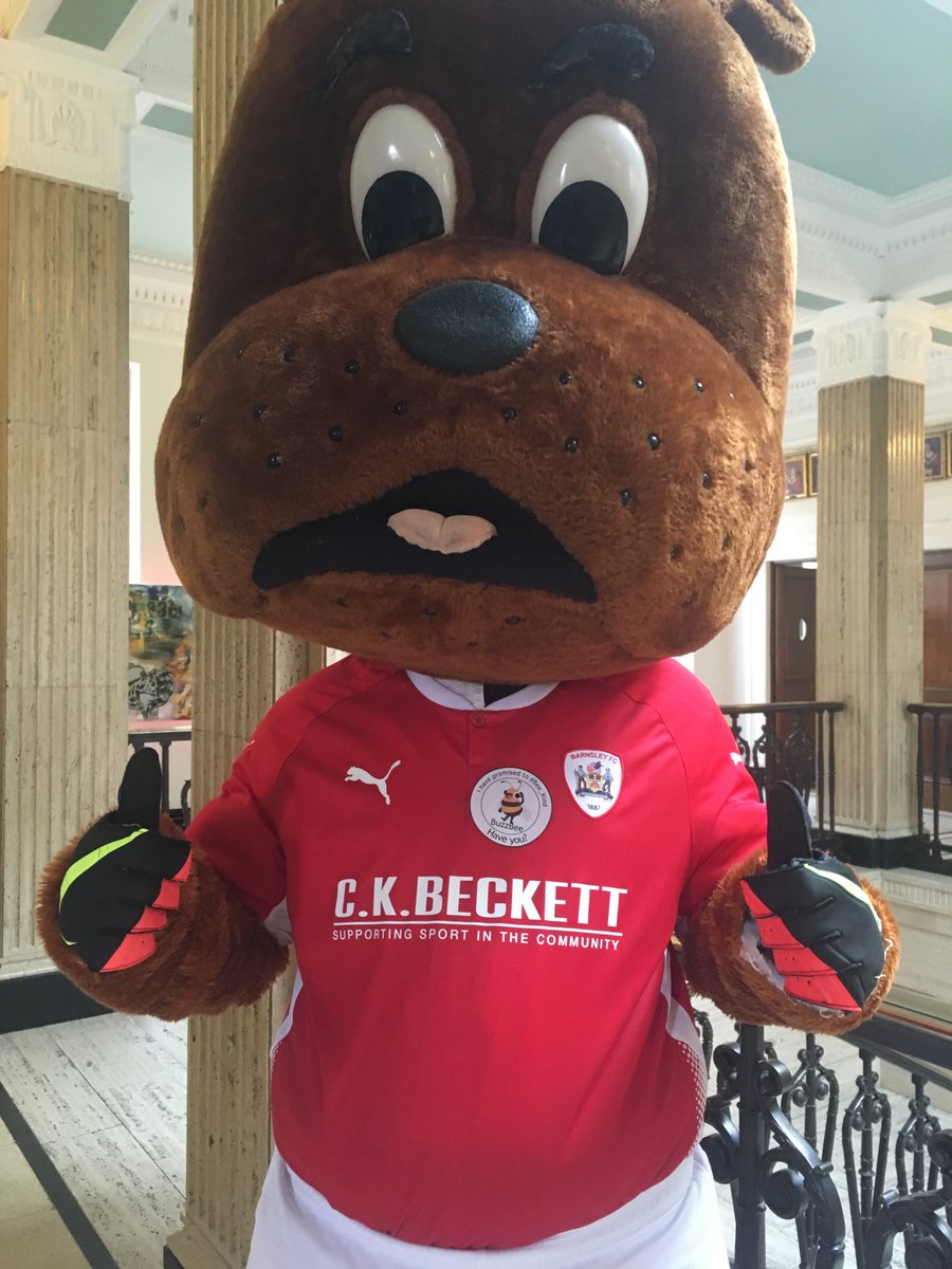 Active_Response's tweet photo. Our "Star for October" is Toby Tyke from @BarnsleyFC He joined the #Bee_Kind campaign at Barnsley Town Hall to encourage others to make the #Bee_Kind promise. Thank You Toby - BuzzBees new Friend. #barnsleyisbrill #uksopro #southyorkshire #sheffieldissuper #doncasterisgreat https://t.co/jdmumy0SBF