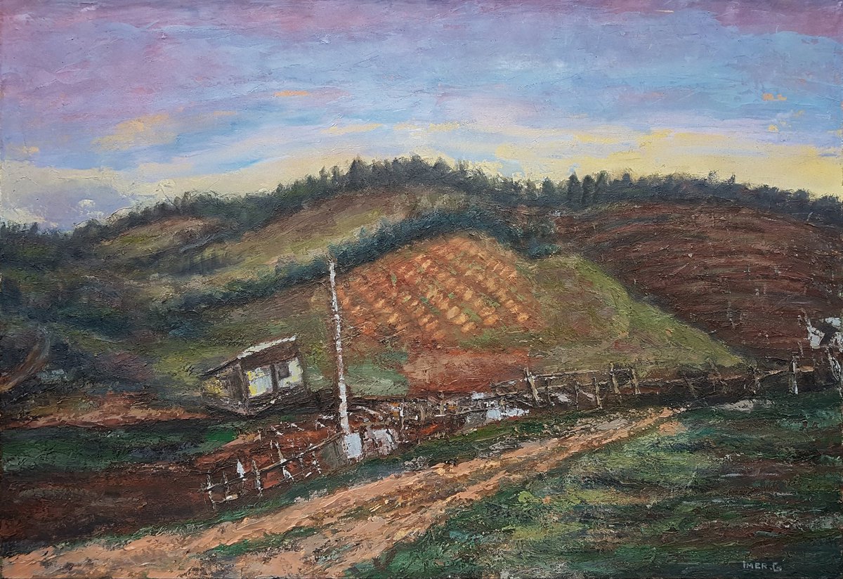 Imer Gashi tweet media