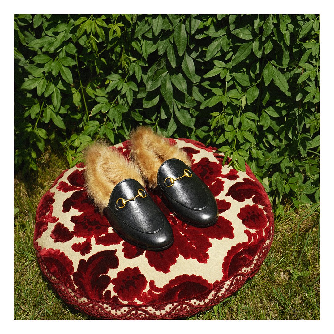 gucci's tweet photo. A key silhouette that spans across seasons, a look at the new #GucciJordaan loafers from #GucciCruise18 by #AlessandroMichele. https://t.co/GOeiV7LQK5