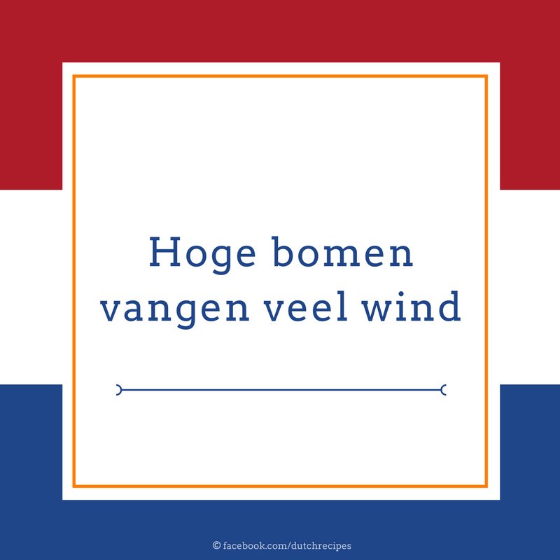 DutchRecipes's tweet photo. "Hoge bomen vangen veel wind" // The bigger they are, the harder they fall #dutchsaying #dutchsayings https://t.co/X9PqFtxOpI https://t.co/hV5qdzpTaV