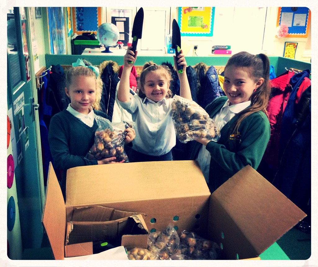 LPS Year4 tweet media