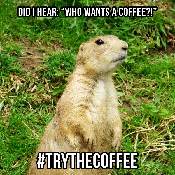 MyKinesisMoney's tweet photo. Who wants a coffee? ☕🍵 #TrytheCoffee
👉 https://t.co/WfHd5IedII https://t.co/Ng1YQRSj0j