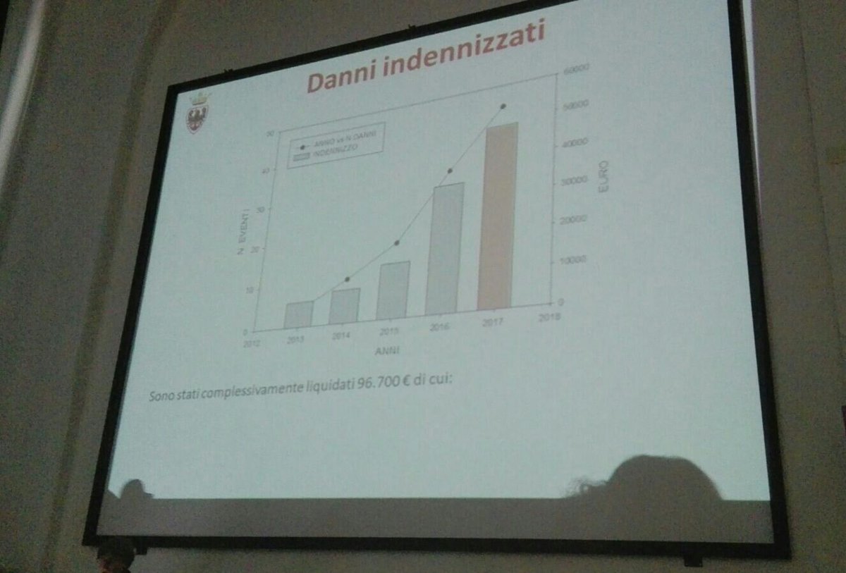 lifemedwolf's tweet photo. "Nella @ProvinciaTrento i danni alla #zootecnia del lupo hanno superato quelli dell'orso". Luca Pedrotti #medwolf #9Novembre https://t.co/5aVestNEwF