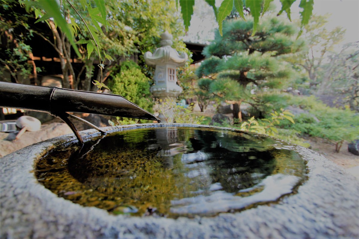 ShoFrex's tweet photo. Bamboo fountain and stone basin in traditional Japanese style garden.
#Japanesestylegarden #Bamboofountain #stonebasin https://t.co/tbti0MD9gX