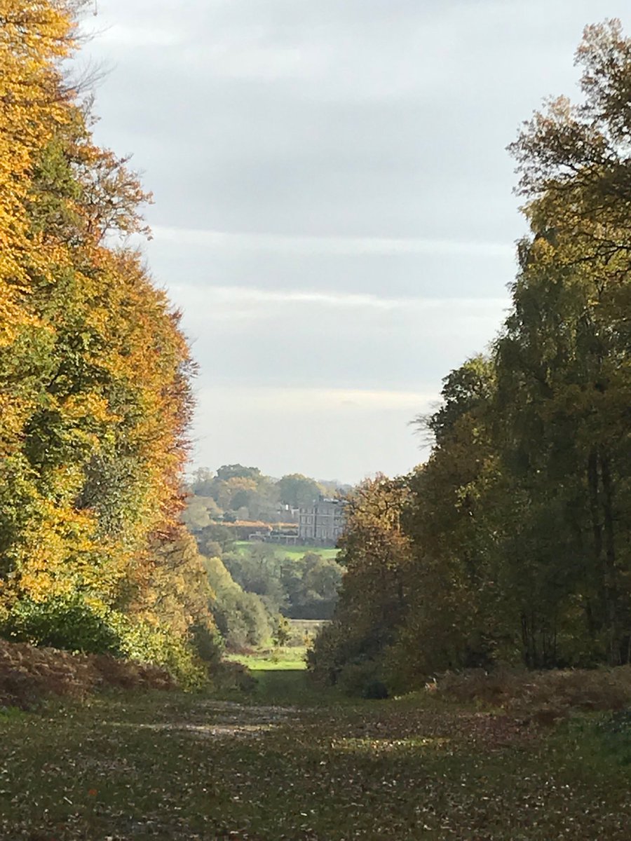 sperhabb 🌹 tweet media