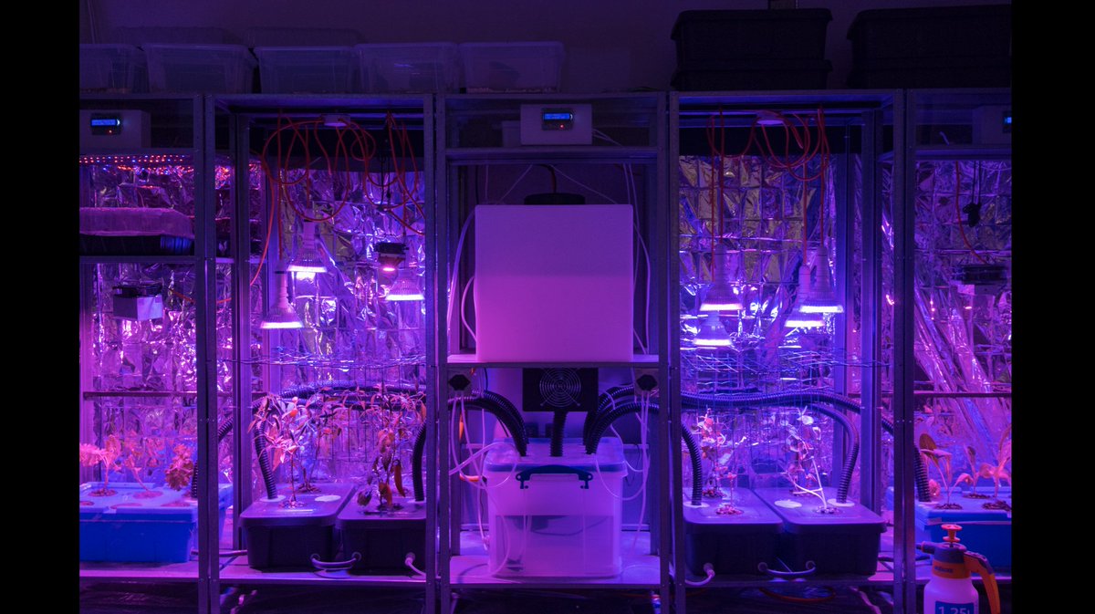 From data, growthism and instrumentalised futures to imagination, possibility space and live prototyping.

<a href="/anabjain/">Anab Jain</a>'s keynote @ImpaktFestival: impakt.nl/festival/repor… #impakt2017