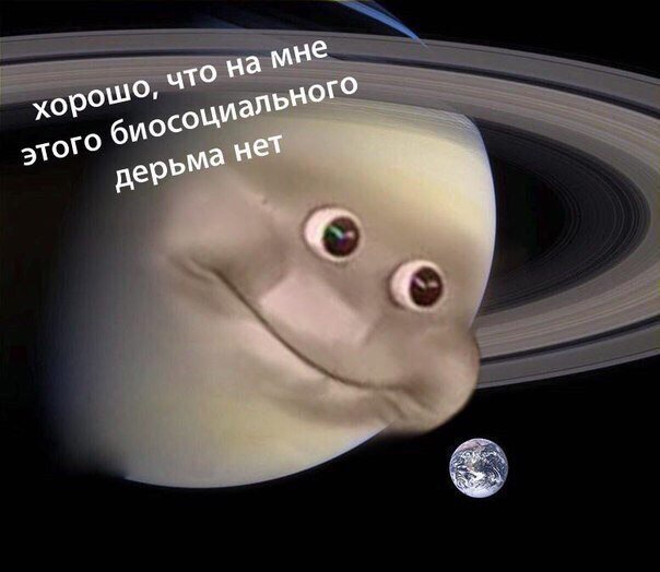 Наблюдатель (@veronsolen) on Twitter photo 