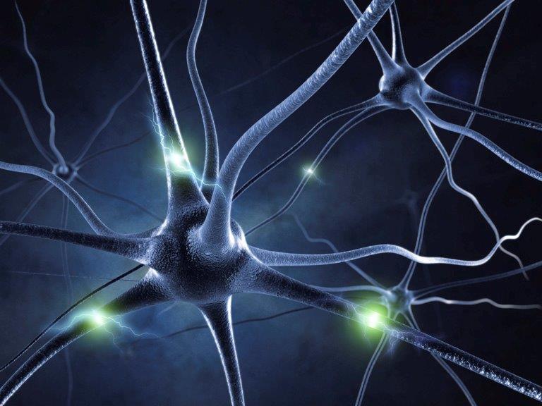 encephalitis's tweet photo. This column in the @smh is recommended reading for anyone who wants to understand more about what life can be like after #encephalitis or with an #acquiredbraininjury #abi https://t.co/rOE1mGAeAD https://t.co/snzJ0Bs5K7