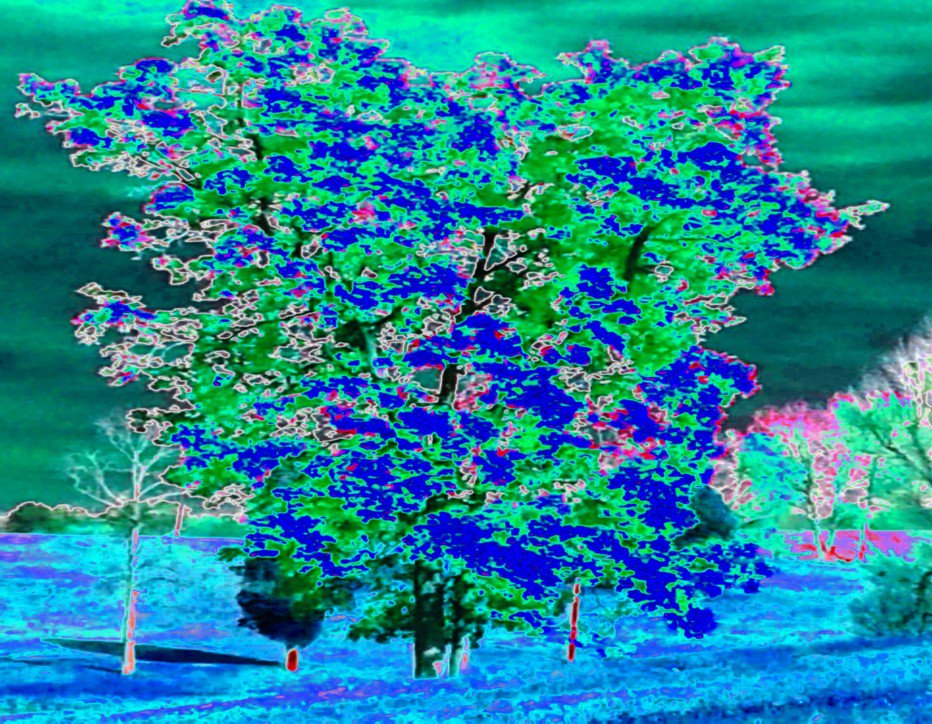 CawfeyDeBold's tweet photo. Fall in two different dimensions. #ThursdayThoughts
#amwritingfantasy #scifi #authors #Worlderth #fantasy #Magic #Coffee #books
#writerslife #imagination #Chiloffee
CDB https://t.co/tKeob0BORg
