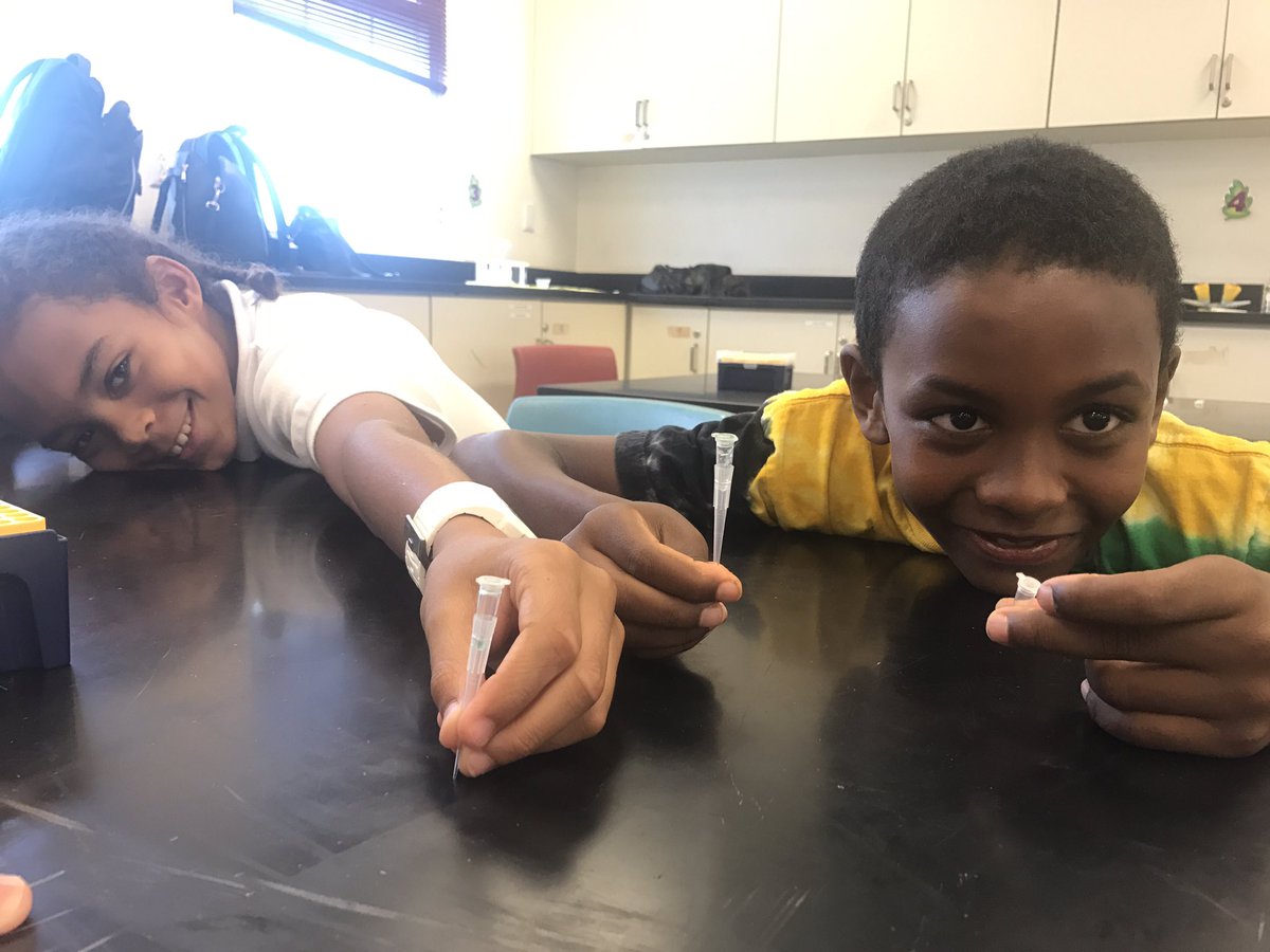 bdaprinciples's tweet photo. Thank you #Argus for investing into #SandysSecondarySchool with @miniPCR #LabInABox. We had fun doing the #PTCTasterLab with 10-13 year olds 🤗#ScienceWithScientists2017 https://t.co/DYSBcv0NAy