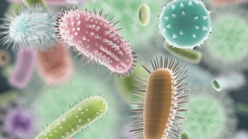 Heriot-Watt University (@heriotwattuni) on Twitter photo A single capsule could transform the medical and veterinary sector
<a href="/roslininstitute/">The Roslin Institute</a> <a href="/ferrymelchels/">Ferry Melchels</a> <a href="/BBSRC/">Biotechnology and Biological Sciences Research</a>
ow.ly/mya330gsDkO A single capsule could transform the medical and veterinary sector
<a href="/roslininstitute/">The Roslin Institute</a> <a href="/ferrymelchels/">Ferry Melchels</a> <a href="/BBSRC/">Biotechnology and Biological Sciences Research</a>
ow.ly/mya330gsDkO