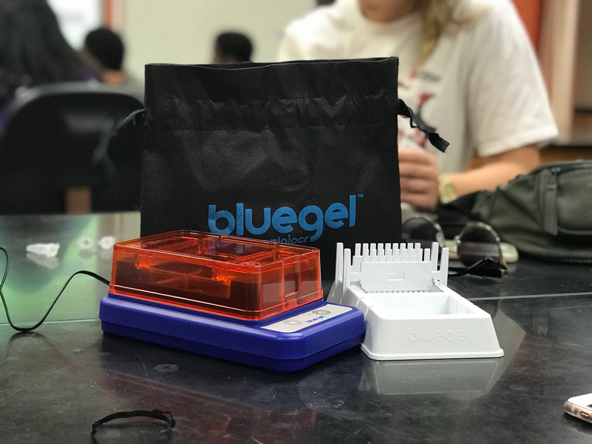 bdaprinciples's tweet photo. Thank you @miniPCR for being a great collaborator for all our workshops in @Bermuda! We got some great results and exposed 394 students to genetics and DNA. Your vision is now gone into new territory! #ScienceWithScientists2017 https://t.co/gt2CZeVFEt