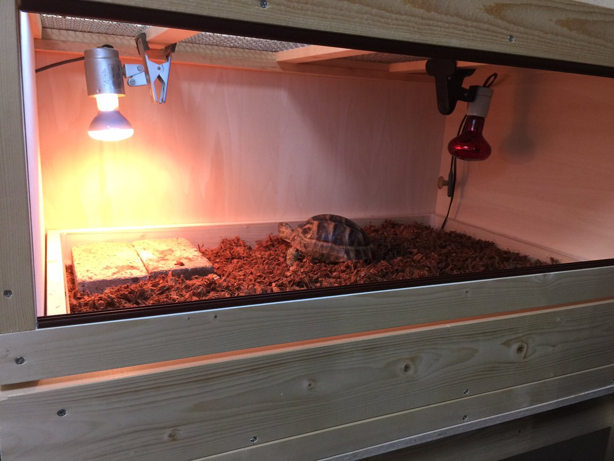 Fandk爬虫類木製ケージ作製販売店 A Twitter ギリシャリクガメ用のケージをご注文頂きレイアウト写真を頂きましたのでご紹介致します ケージサイズ外寸 幅900 奥行600高さ450 引き出し仕様 T様ありがとうございます 特注オーダー承ります Fandk爬虫類木製