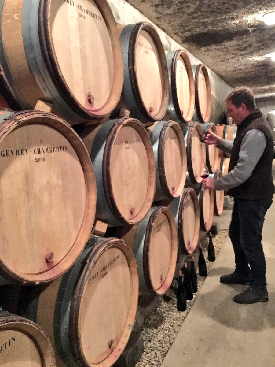 KathrynAndersen's tweet photo. Bitter cold, damp cellars but a brilliant 2016 Burgundy vintage (too bad there's not more of it!) https://t.co/jZomsOJN7s