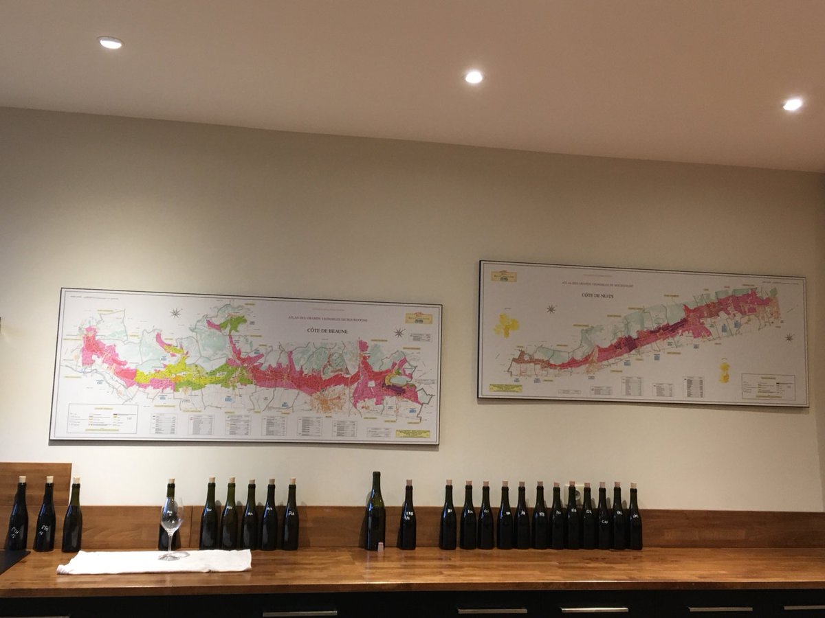 KathrynAndersen's tweet photo. Bitter cold, damp cellars but a brilliant 2016 Burgundy vintage (too bad there's not more of it!) https://t.co/jZomsOJN7s
