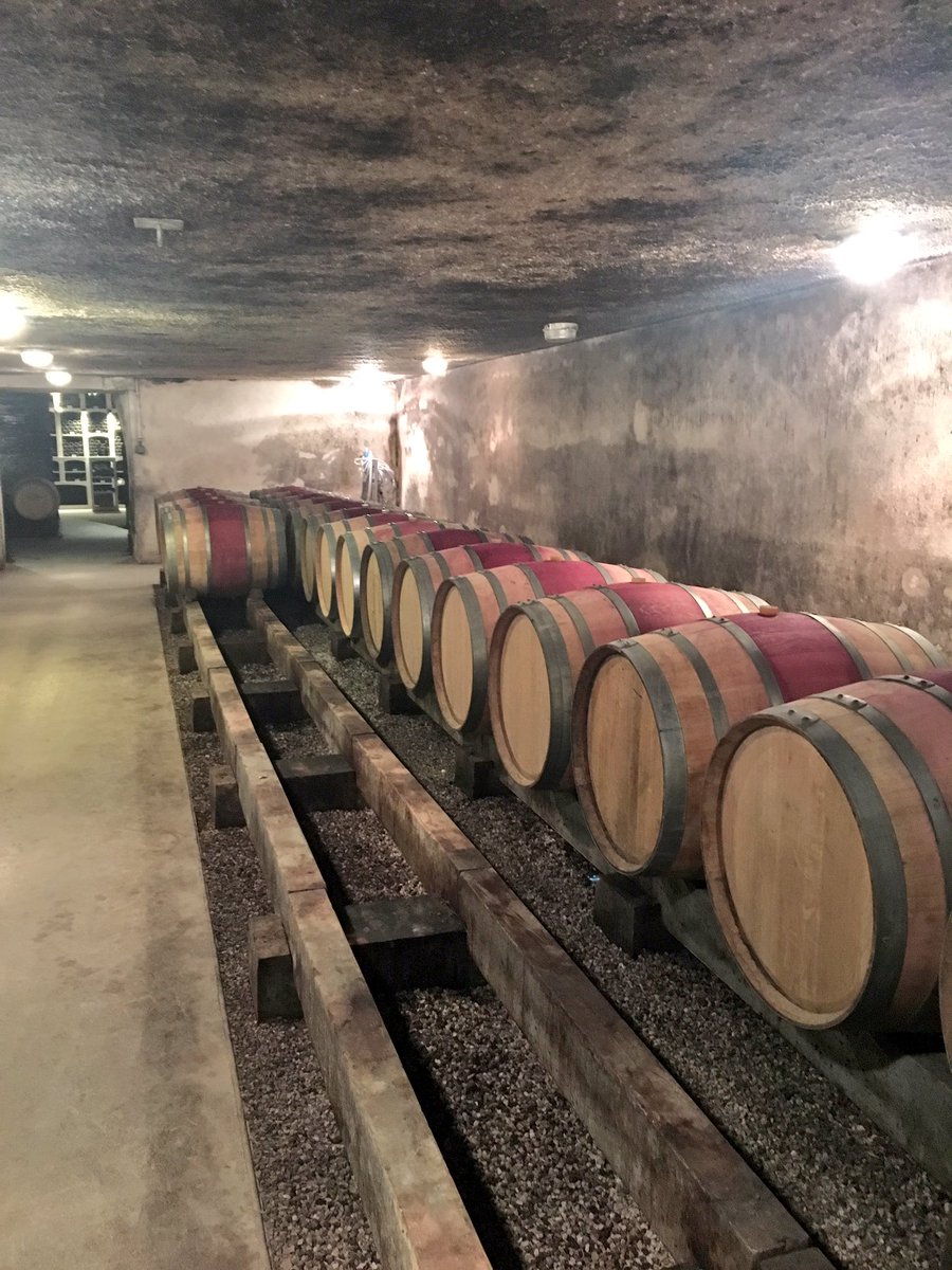 KathrynAndersen's tweet photo. Bitter cold, damp cellars but a brilliant 2016 Burgundy vintage (too bad there's not more of it!) https://t.co/jZomsOJN7s