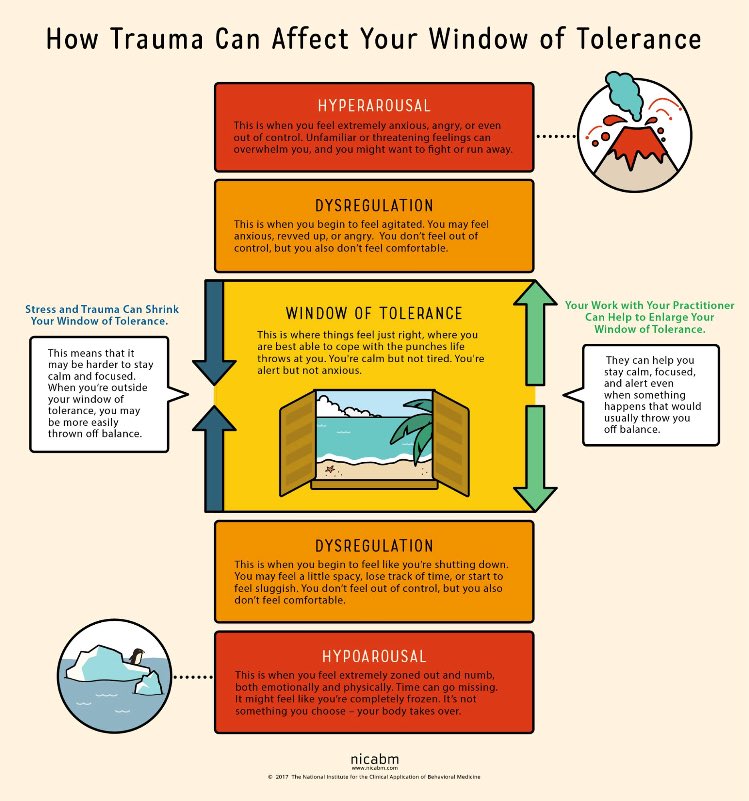 SCStrainingLtd's tweet photo. Useful diagram on how trauma can affect your window of tolerance.

It is important to find out what helps you regulate and return to your window of calm.

#regulate #windowoftolerance #trauma #hyer #hypo #calm #dysregulation https://t.co/8BhR94qd52