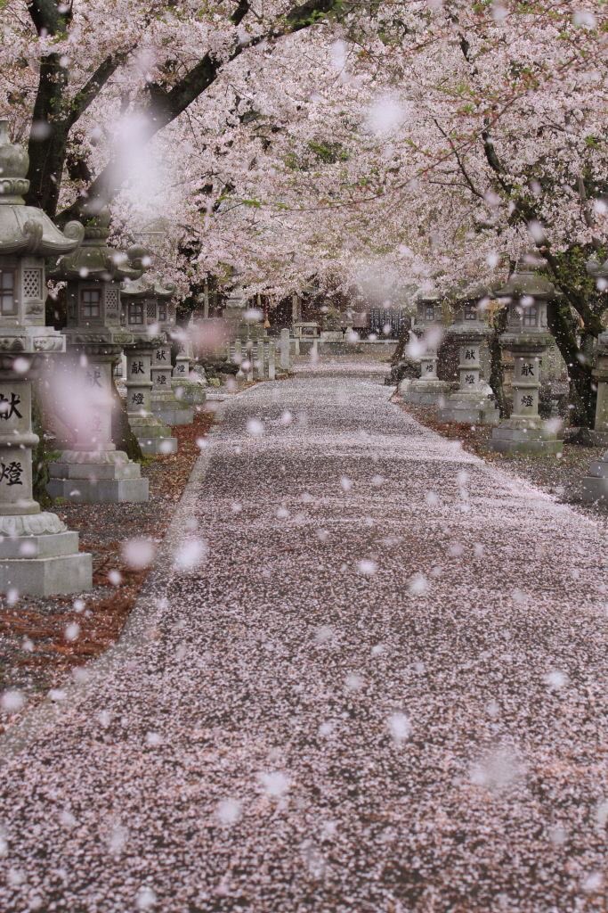 yui_3310's tweet photo. @love176456111 @shyoshid @theta_compass @thaar @SusanGilbert @KoichiHagiwara @tamanna2168 @naotenso @JustAskMelissa7 @isamuuran1316 @LaurenVictorita @cix1826 @thykenan @sprague_paul @LOYALFAN1 @hideo0220 @227eada8efa54eb @cix1827 @Gvacci @MarshaCollier @Tunnelbreeze @tigertiger226 @KhalidHamdan0 @minami1105 @Masao__Tanaka @shellieblum @Nori98765 @CarlRamallo @sjfpc @gsf_info @kimura113218 @thewordwarrior @DrKysela @AkemiKawaguchi8 @3d_works1 @oda_f @Gabriele_Corno @RobertaCostner @fmpreuss @SferrazzoG @FrancescoSotis @LadyTerezie @chaebae @harunarabaci1 @harunarabaci2 @harunarabacisg @cix1828 @cix1825 @LukaLuzelia @DeFaukatrua #TY https://t.co/9SLgGLrucI