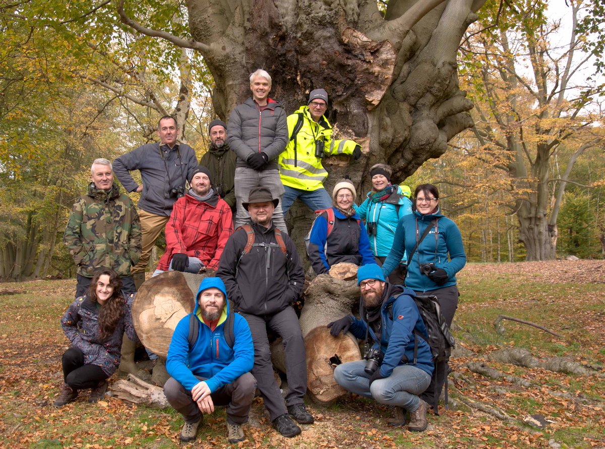 CoLEppingForest's tweet photo. We were delighted to welcome @AncientTreesATF &amp; partners from many countries developing Europe-wide accreditation system for #ancienttree management, to #EppingForest.  Thanks to @Milesiajez for the photograph. https://t.co/MGPXNQ9ap4