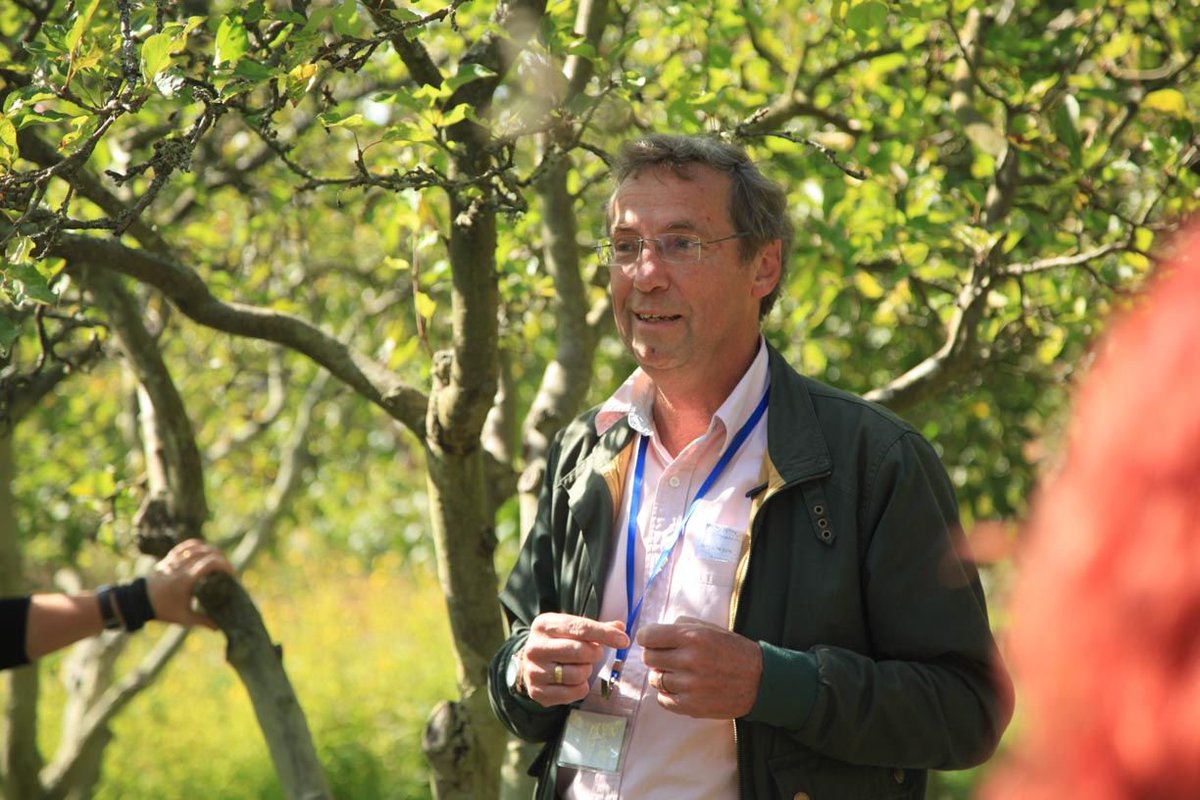 NetwrkWellbeing's tweet photo. What trees can teach us about #happiness & #wellbeing: @nathappiness Alan Heeks video filmed at #WellbeingTogether @HawkwoodCollege: https://t.co/XH8kHJUqB4 https://t.co/1nRXXhzch8