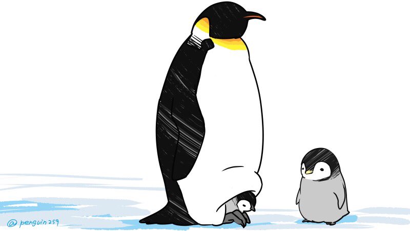 皇帝ペンギンのお父さんは嫁の産んだ卵を受け取って暖める。 孵った