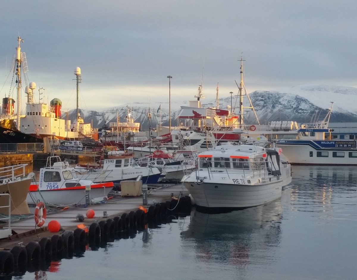 Good morning Iceland. You're beautiful.