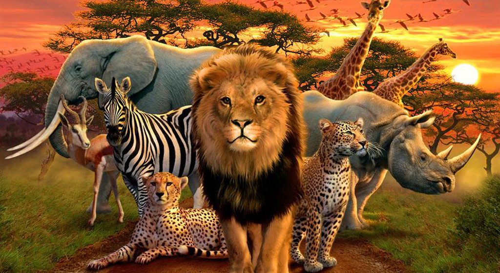 Kala_ahankara's tweet photo. Fake science says huemans are smarter than other species. But other species accept their true nature, do not crossbreed, protect their own, and understands the first law of nature—Self Preservation. #ImLightSkin #ImGay #ImMixed #ImFeminist #ImChristian #ImLost https://t.co/LMZ0V5hA18