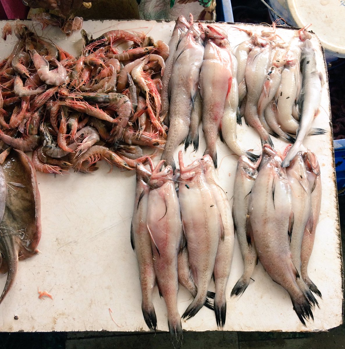_DBlackMamba's tweet photo. When Dad says beta aaj market fish lene tu jayega 😪🤷🏼♂️
#FishShopping
#Prawns #Bombil #Halva 🤗😋 https://t.co/3A6oBBX5po