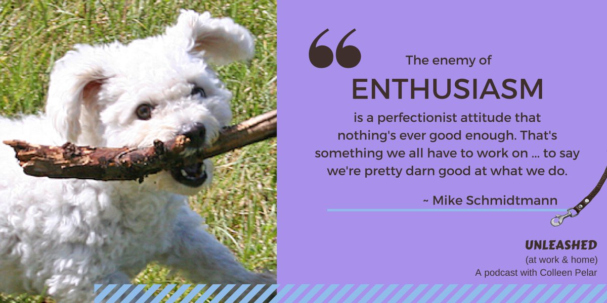 ColleenPelar's tweet photo. Want more #enthusiasm for your work and your relationships? Mike Schmidtman (@MCrisis) shares great tips on the UNLEASHED (at work &amp; home) podcast. Learn how to bring out the best in yourself and others. https://t.co/Id2a3vL4Ao https://t.co/1NVOS3DMCv