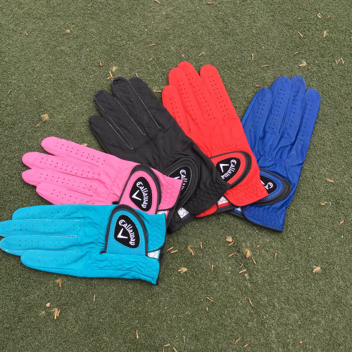 ScratchGolfShop's tweet photo. Add some COLOUR to your game ๐ #bold @callawaygolfsa #shinebright #golfcandy #gloves #men&women #leather https://t.co/AiuF55INHX