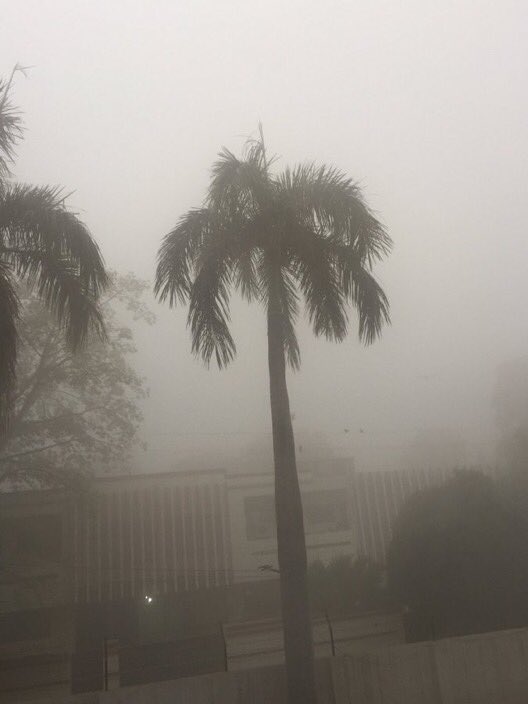 ShekharGupta's tweet image. The pics aren’t from Delhi. It’s Lahore, 500-km west. Posted by @DanyalGilani 3 days back. Punjab on both sides burns paddy stubble. Winds are west to east. A joke to respond with even-odd, 500 more buses gimmicks