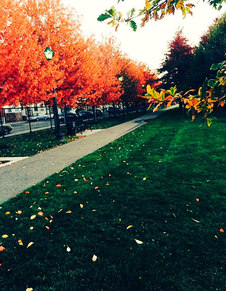 ThePointEB's tweet photo. Autumn shows us how beautiful it is to let things go. ๐ฟ๐๐ #eastboston #boston #thepointeb https://t.co/NTaVpiub3G