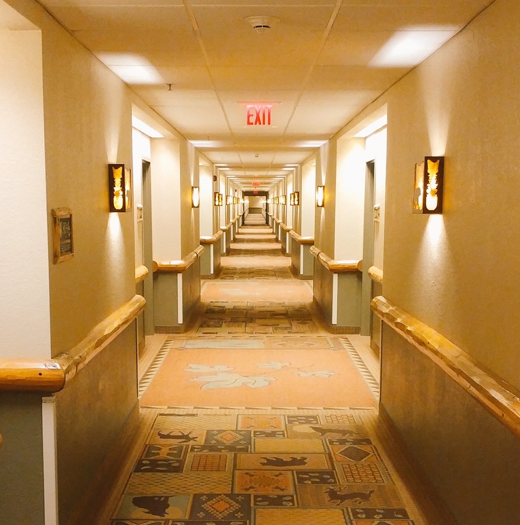 Niki1Harris's tweet photo. The #Shining hallway! Get your steps #SWASFAA2017 https://t.co/J5UPmozygM