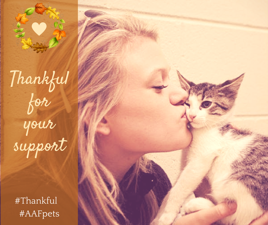 AAFPets's tweet photo. #Thankful #AAFpets https://t.co/43bif5Dotw