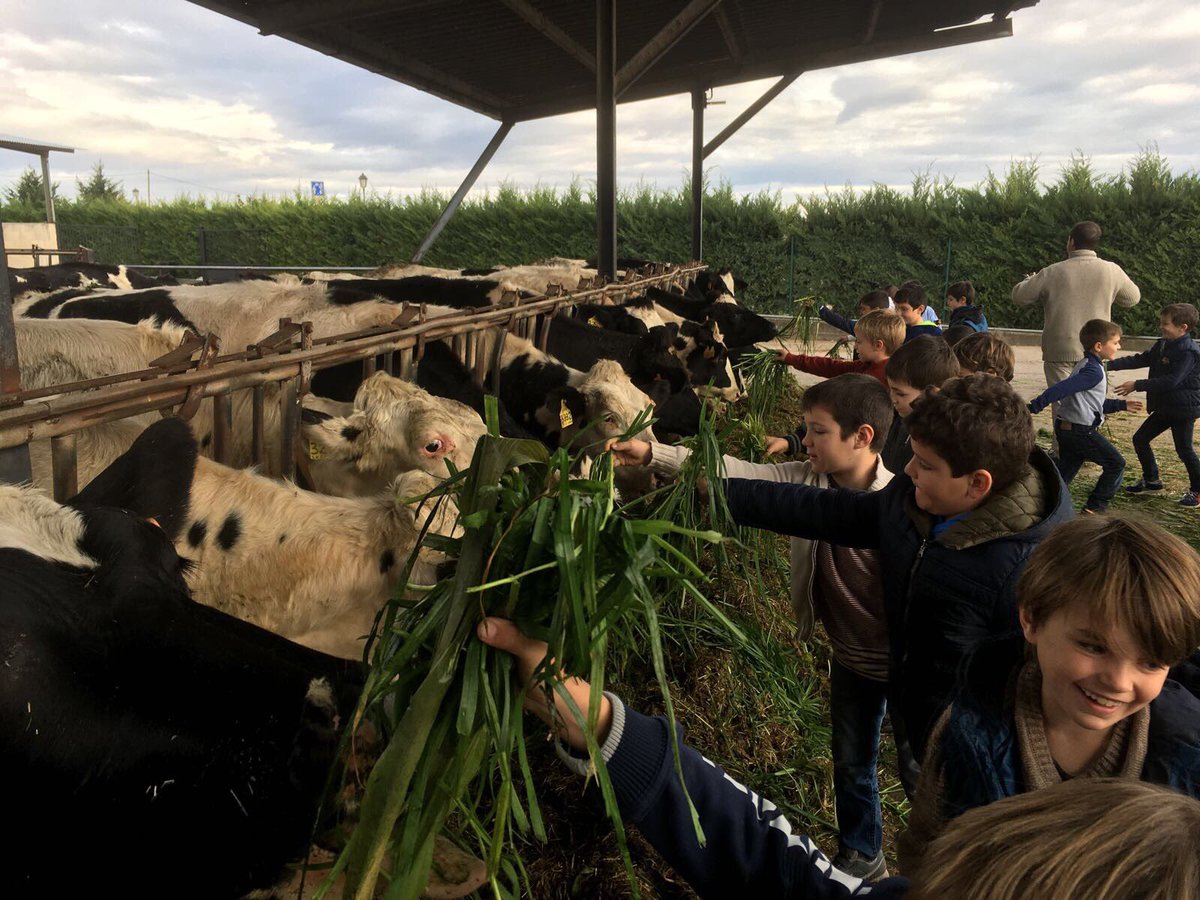 BellLlocdelPla's tweet photo. 2nPri en contacte amb la natura a la @granjamasbes per aprendre sobre els animals i les plantes #sortidaculturalbllc https://t.co/roWTU4Fden