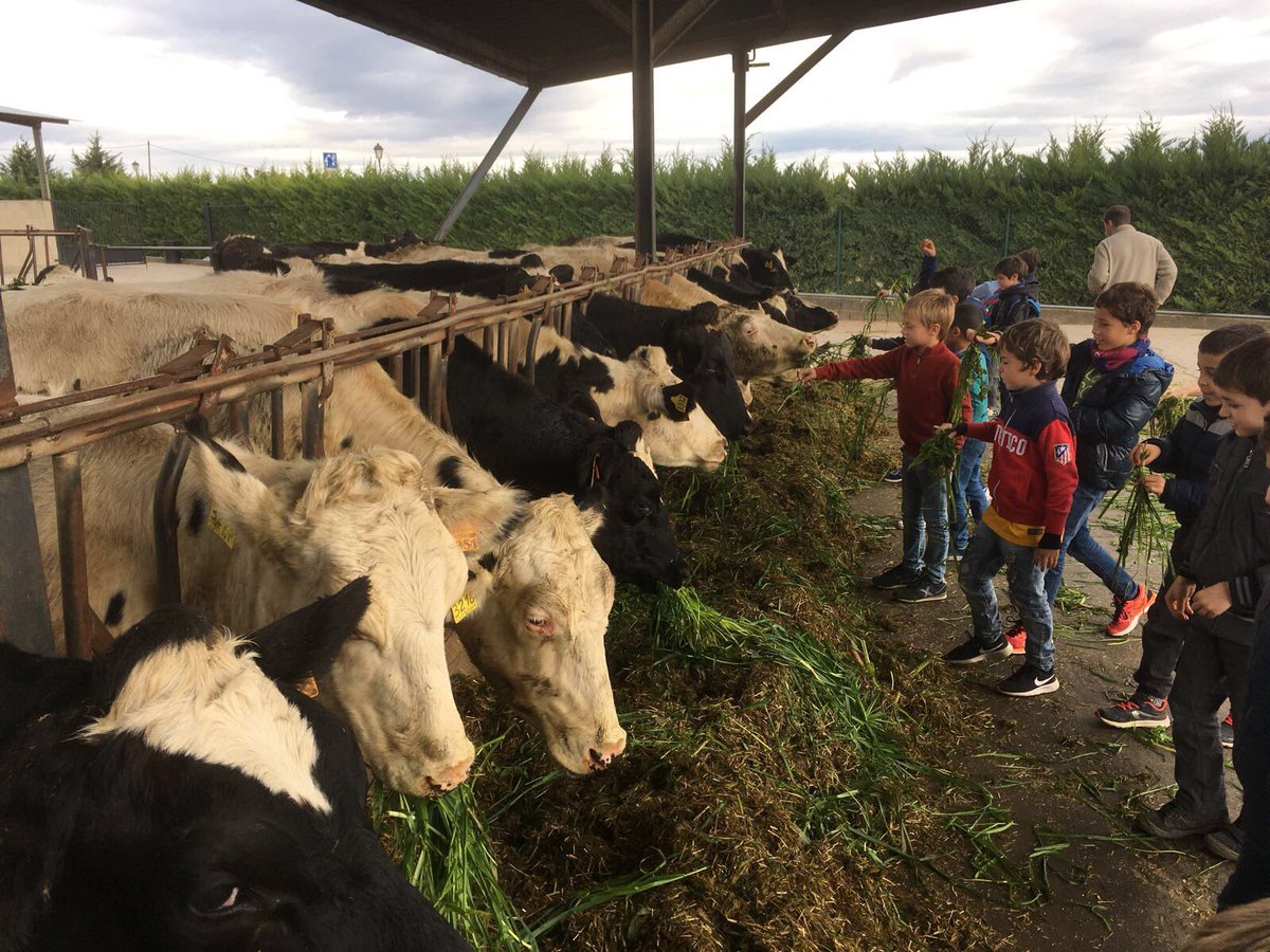 BellLlocdelPla's tweet photo. 2nPri en contacte amb la natura a la @granjamasbes per aprendre sobre els animals i les plantes #sortidaculturalbllc https://t.co/roWTU4Fden